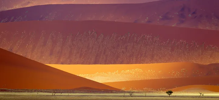 Namib-Naukluft Sand Dunes (2011)