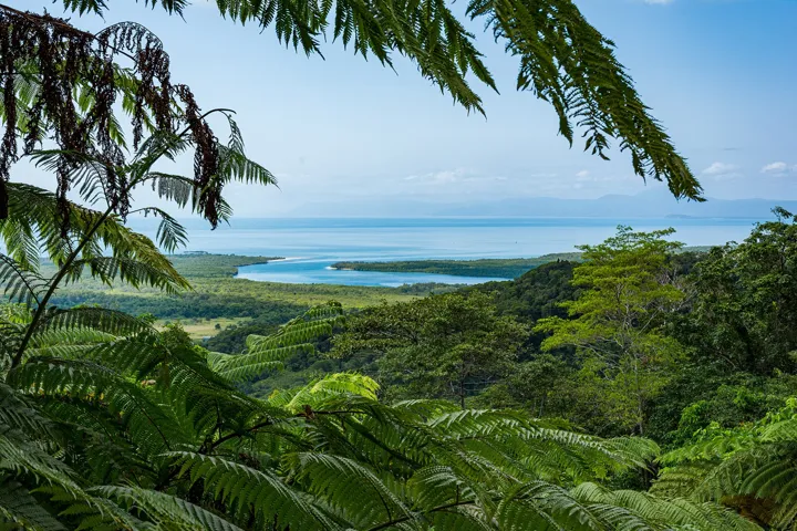 Daintree River mouth in Queensland Australia