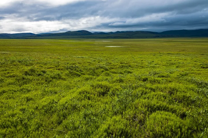 Tundra landscape looking south toward British Mountains near Engigstciak, Ivvavik National Park, YT